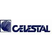 Celestal Saic